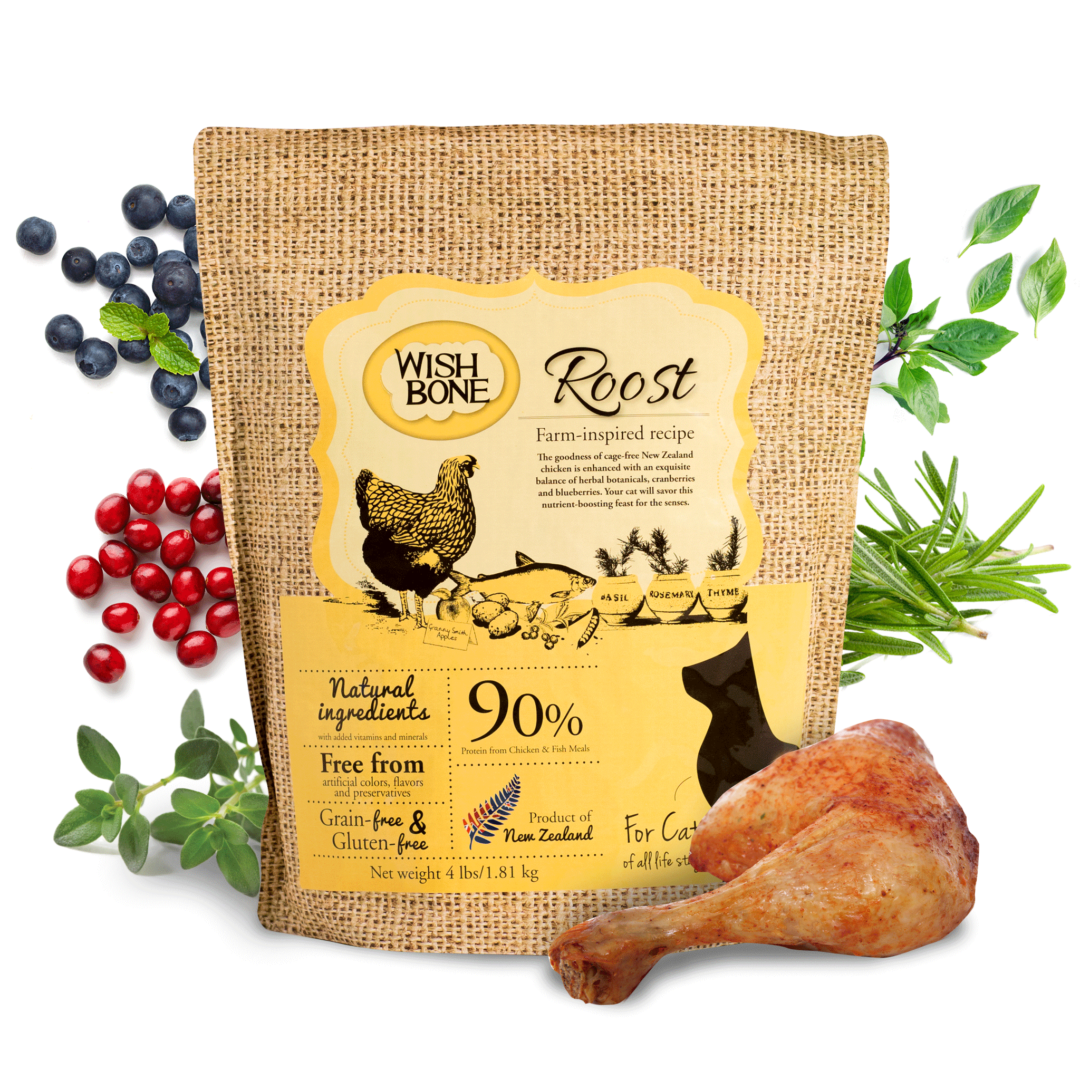 is-chicken-meat-good-for-cats-wishbone-pet-foods-blog