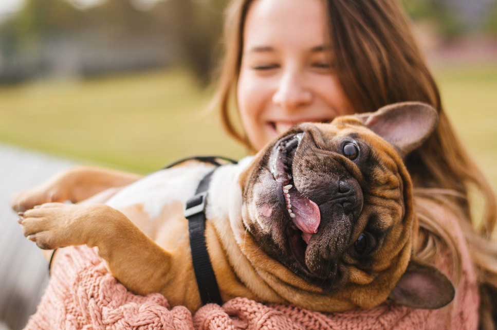 Our complete list of pet holidays this 2019 – Part 2