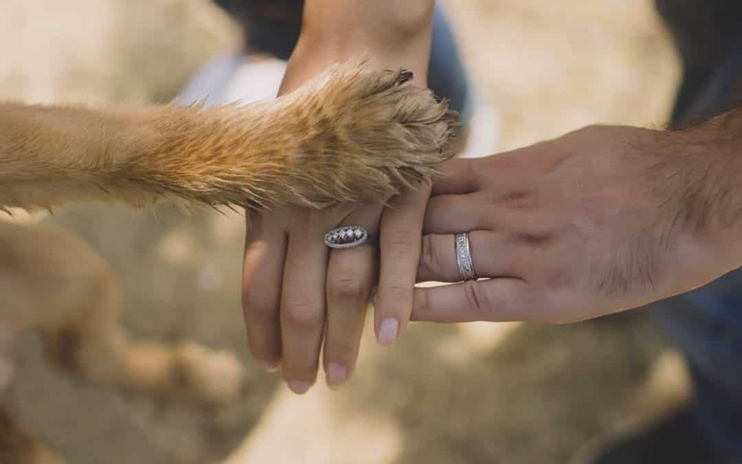 5 pet-friendly date ideas this Valentine’s Day