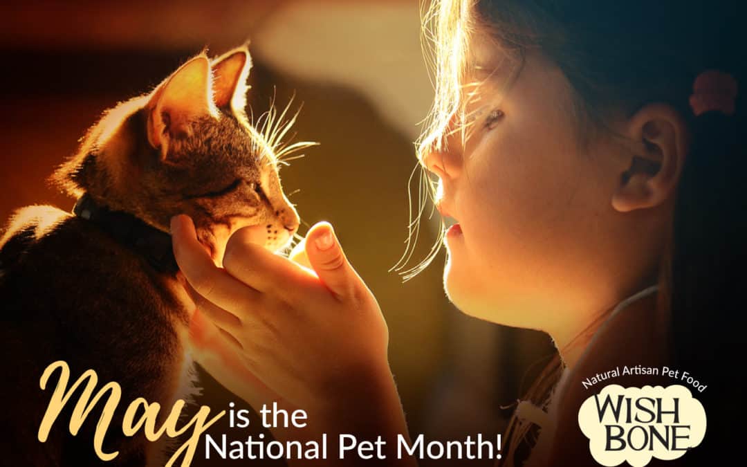 Celebrate the National Pet Month with your family
