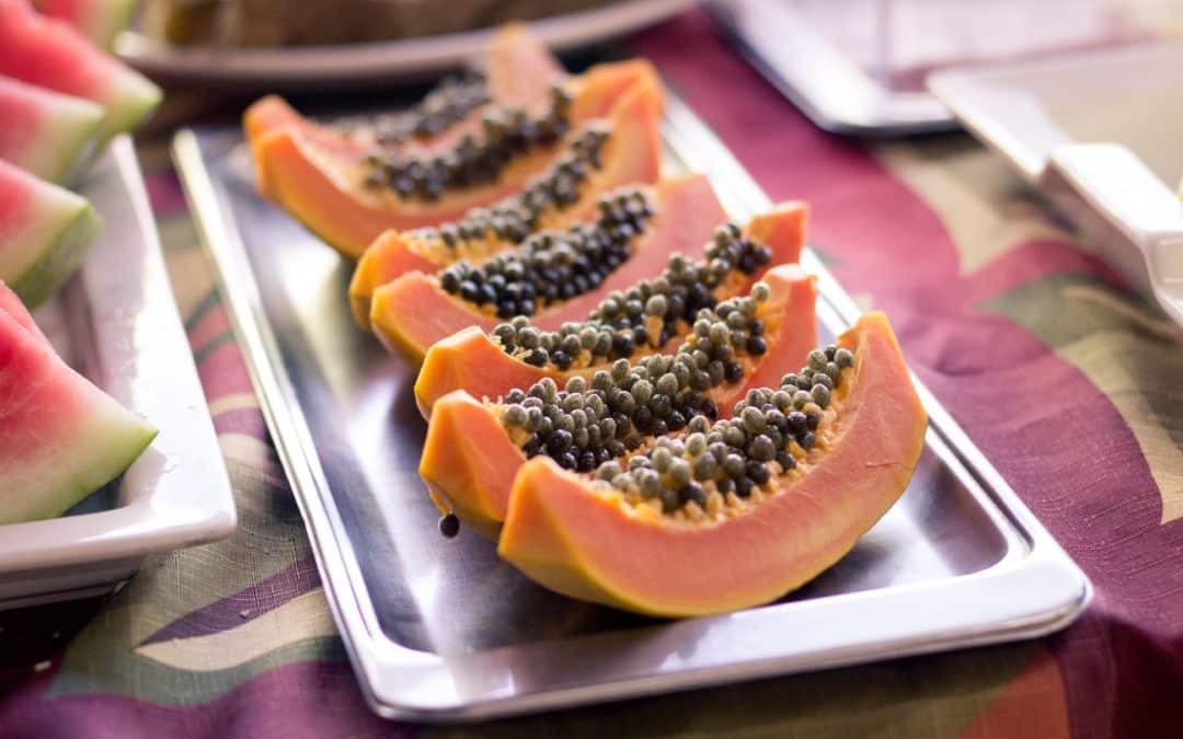 Can dogs eat papaya?