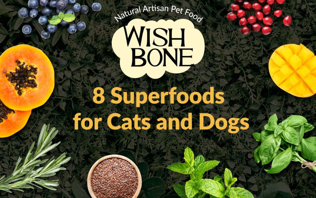 8 superfoods for cats and dogs – only in Wishbone
