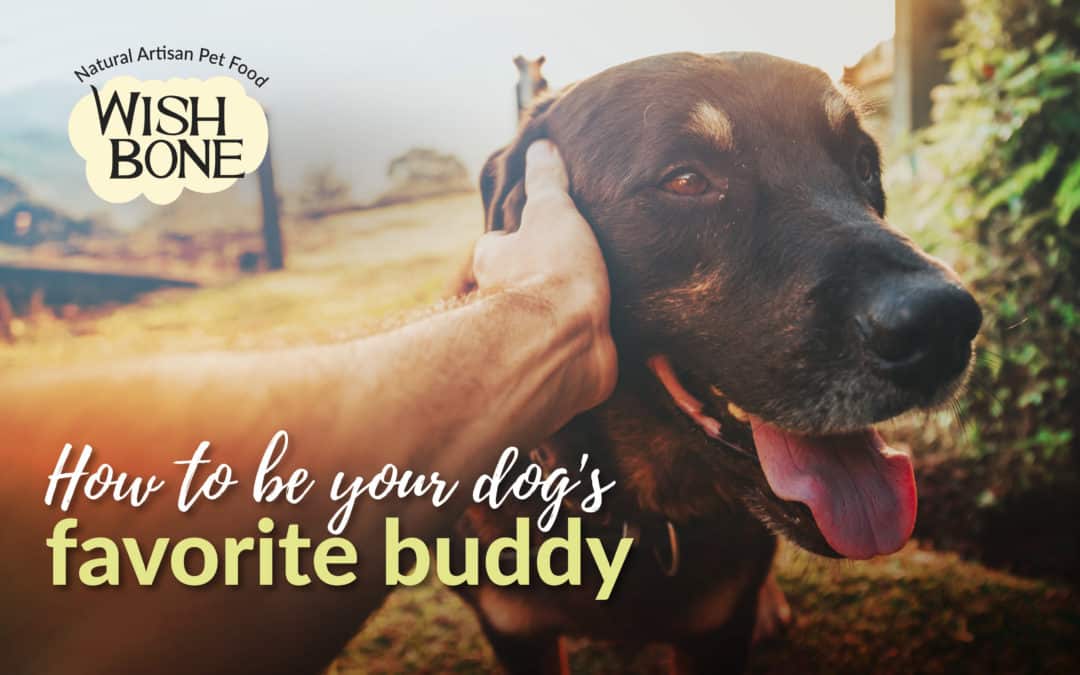 How to be your dog’s favorite buddy