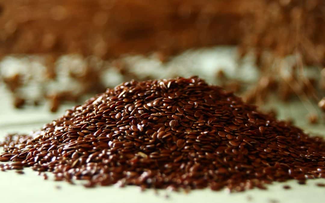 Flaxseeds: The superfood for cats and dogs