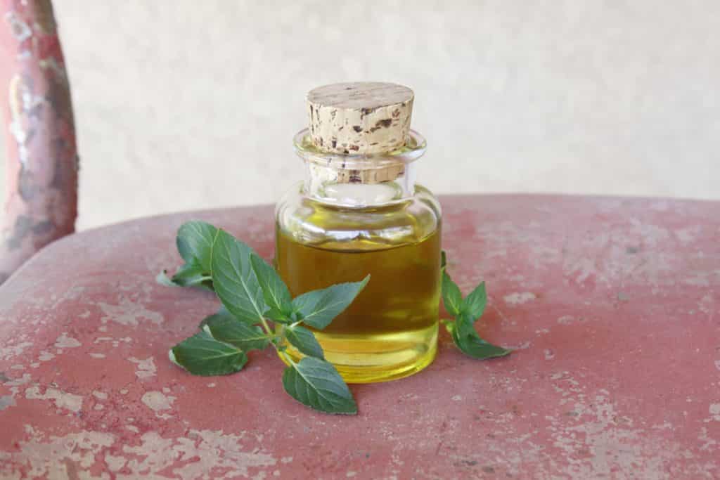 Peppermint oil harmful to pets