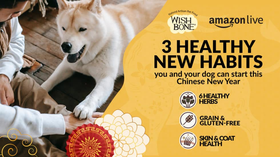 3 healthy new habits you and your dog can start this Chinese New Year