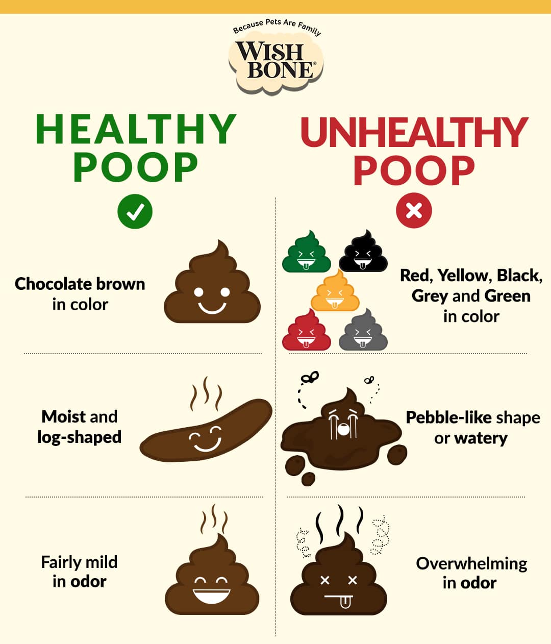 WB INFOGRAPHICS How Healthy Poop Looks Like V5 